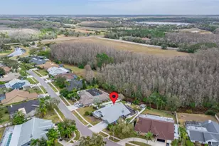 6416 Thoroughbred Loop, Odessa, FL 33556 - Photo 57