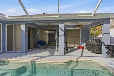 391 Wood Bridge Avenue, Tarpon Springs, FL 34689 - Photo 41