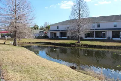 16320 Swan View Circle, Odessa, FL 33556 - Photo 27