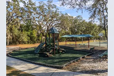 15035 Wind Whisper Drive, Odessa, FL 33556 - Photo 49