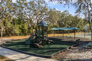 15035 Wind Whisper Dr, Odessa, FL 33556 - Photo 49