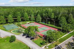 5550 Salem Square Dr S, Palm Harbor, FL 34685 - Photo 33