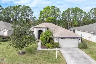 1553 Morning Rose Pl, Trinity, FL 34655 - Photo 59