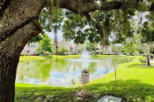 17942 Villa Creek Dr, Tampa, FL 33647 - Photo 23