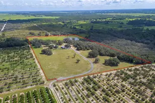 4900 J Jackson Rd, Fort Meade, FL 33841 - Photo 95