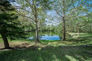 4738 Pebble Brook Dr, Oldsmar, FL 34677 - Photo 3