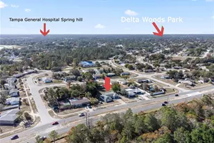 10072 Northcliffe Blvd, Spring Hill, FL 34608 - Photo 29