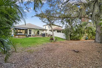 10435 Alcon Blue Drive, Riverview, FL 33578 - Photo 59