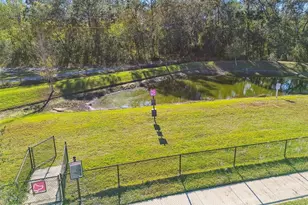 7139 Steer Blade Dr, Zephyrhills, FL 33541 - Photo 53