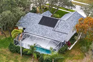 4457 Glenbrook Dr, Palm Harbor, FL 34683 - Photo 33