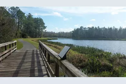 9071 Pleasant Woods Drive, Land O Lakes, FL 34637 - Photo 37