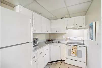 209 NE Lincoln Circle N #309, Saint Petersburg, FL 33702 - Photo 11