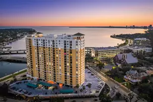 345 Bayshore Blvd, Tampa, FL 33606 - Photo 57