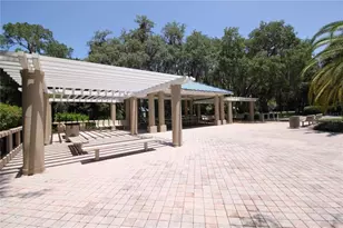 3830 Moreno Dr, Palm Harbor, FL 34685 - Photo 87