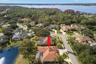 3830 Moreno Dr, Palm Harbor, FL 34685 - Photo 71