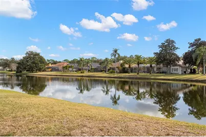 3830 Moreno Drive, Palm Harbor, FL 34685 - Photo 61