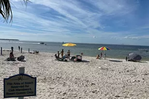 550 Calico Scallop St, Ruskin, FL 33570 - Photo 25