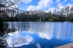 20921 Haulover Cove, Lutz, FL 33558 - Photo 11