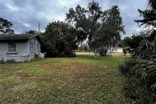 509 Osteen Maytown Rd, Osteen, FL 32764 - Photo 3