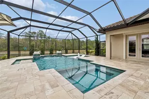 4856 Night Star Trail, Odessa, FL 33556 - Photo 39