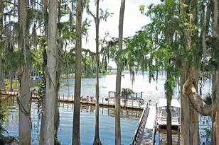 2735 Sherbrooke Ln, Palm Harbor, FL 34684 - Photo 39