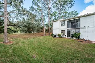 416 Meadow Ln, Oldsmar, FL 34677 - Photo 37