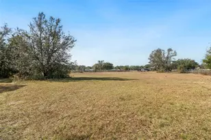 3207 Mazie Dr, Zephyrhills, FL 33541 - Photo 35