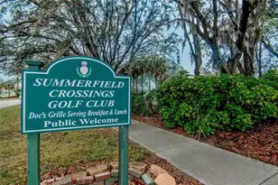 11709 Stonewood Gate Dr, Riverview, FL 33579 - Photo 53