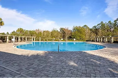 3138 Hilliard Drive, Wesley Chapel, FL 33543 - Photo 55