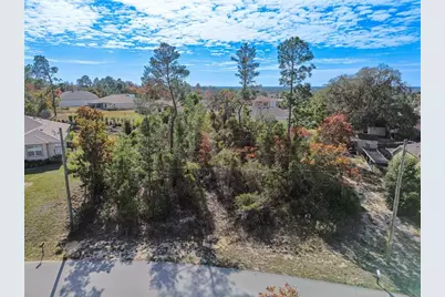 13014 Hanley Drive, Spring Hill, FL 34609 - Photo 1