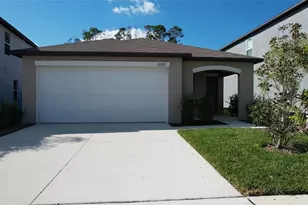 12727 Maple Bonsai Dr, Riverview, FL 33579 - Photo 5