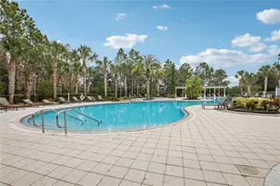 1555 Ludington Ave, Wesley Chapel, FL 33543 - Photo 61