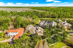 2661 Hawks Landing Blvd, Palm Harbor, FL 34685 - Photo 73