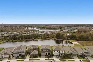 17738 Everlong Dr, Land O Lakes, FL 34638 - Photo 53