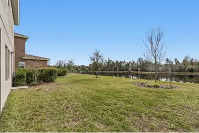 17738 Everlong Drive, Land O Lakes, FL 34638 - Photo 47