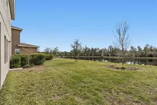 17738 Everlong Dr, Land O Lakes, FL 34638 - Photo 47