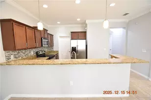 20210 Pond Apple Ln, Tampa, FL 33647 - Photo 27