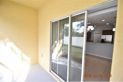 20210 Pond Apple Lane, Tampa, FL 33647 - Photo 11