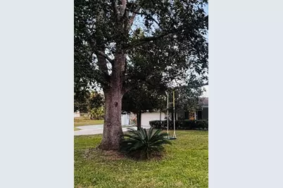 37252 Hilltop Drive, Zephyrhills, FL 33541 - Photo 41