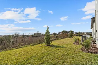 31942 Folk Top Street, San Antonio, FL 33576 - Photo 43