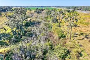 1505 W 60 Hwy, Plant City, FL 33567 - Photo 29