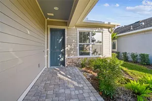 6036 Plover Meadow St, Lithia, FL 33547 - Photo 3