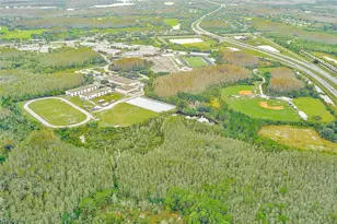 5516 Garden Arbor Dr, Lutz, FL 33558 - Photo 65