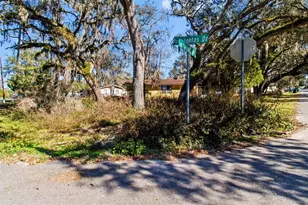 33073 Cassandra Way, Dade City, FL 33523 - Photo 13