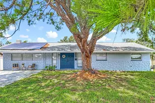 2449 66th Ave S, Saint Petersburg, FL 33712 - Photo 1