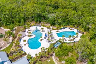 4633 Ballantrae Blvd, Land O Lakes, FL 34638 - Photo 75