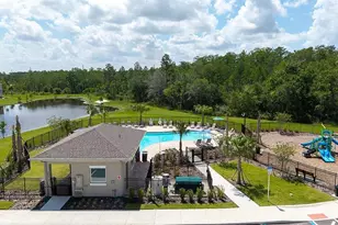 3925 Fraccareta Wy, Wesley Chapel, FL 33543 - Photo 29