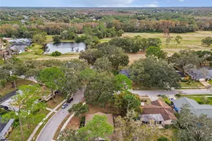 120 Rosewood Dr, Palm Harbor, FL 34685 - Photo 31