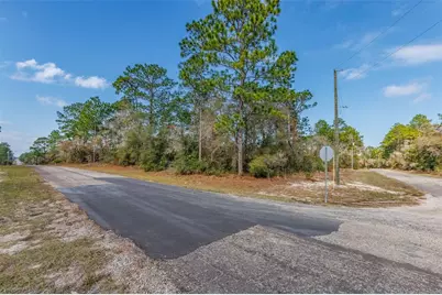 7082 N Treehaven Terrace, Citrus Springs, FL 34433 - Photo 13
