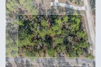 7082 N Treehaven Terrace, Citrus Springs, FL 34433 - Photo 1